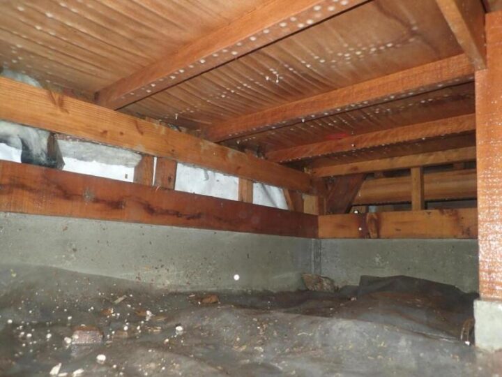 【横須賀市】Ｔ様邸　白蟻防除工事